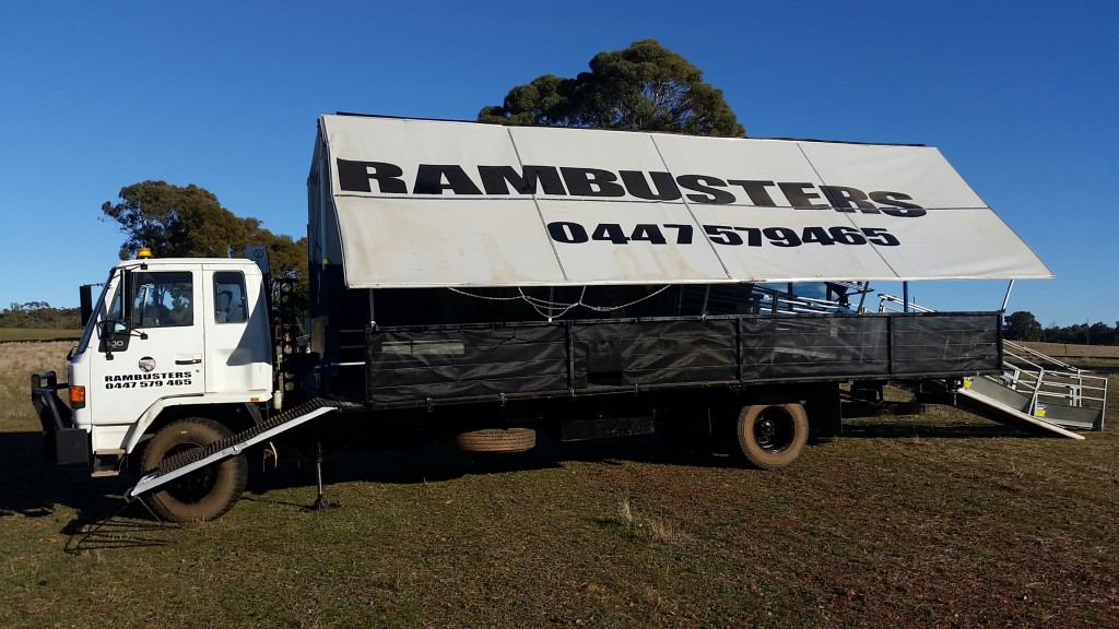 Photo of Rambusters ram shearing truck